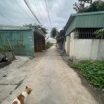 Ảnh 1 của BÁN ĐẤT TẠI QUỲNH CƯ, HÙNG VƯƠNG