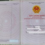 Ảnh 2 của BÁN ĐẤT 103.51M2 CHÍNH CHỦ TẠI ĐƯỜNG 10, LÃM HÀ,KIẾN AN