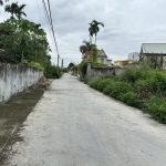 Ảnh 2 của BÁN LÔ ĐẤT GẦN UBND XÃ TÂN TIẾN