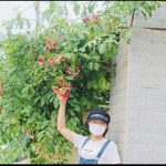 Ảnh 4 của BÁN ĐẤT TẶNG NHÀ 2 TẦNG THÔN 6 - BẮC SƠN