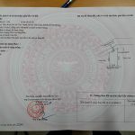 Ảnh 3 của BÁN ĐẤT MẶT ĐƯỜNG TRỤC XÃ TIÊN THANH, HUYỆN TIÊN LÃNG