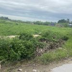 Ảnh 1 của BÁN ĐẤT MẶT ĐƯỜNG TRỤC XÃ TIÊN THANH, HUYỆN TIÊN LÃNG