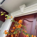Ảnh 1 của BÁN NHÀ 4 TẦNG TẠI ĐƯỜNG THƯ TRUNG - PHƯỜNG ĐẰNG LÂM - HẢI AN - HP