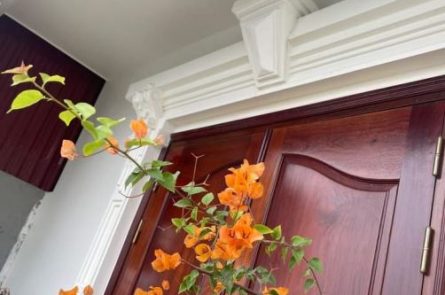 BÁN NHÀ 4 TẦNG TẠI ĐƯỜNG THƯ TRUNG - PHƯỜNG ĐẰNG LÂM - HẢI AN - HP