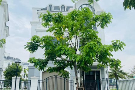 BÁN BIỆT THỰ ĐƠN LẬP MONACO THƯỢNG LÝ, HỒNG BÀNG