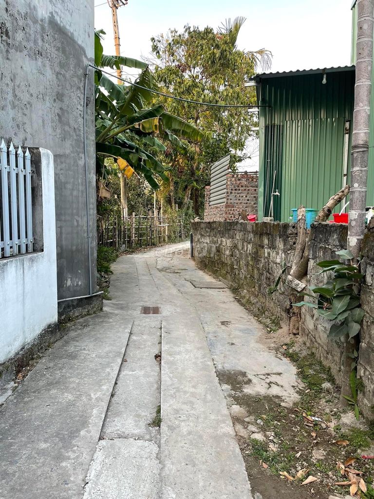 BÁN LÔ ĐẤT TẶNG DÃY NHÀ TRỌ 5 CĂN