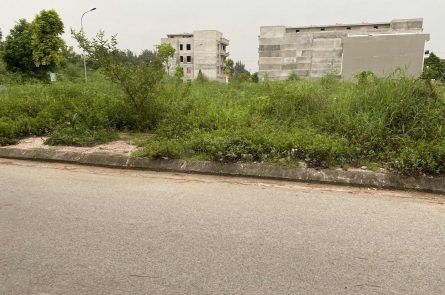 CẦN BẤN LÔ ĐẤT KHU CHỢ ĐẦU MỐI HOA QUẢ HỒNG BÀNG
