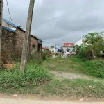 Ảnh 4 của BÁN LÔ ĐẤT ĐẸP  TẠI – HÙNG THẮNG – TIÊN LÃNG