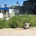 Ảnh 3 của CẦN BÁN GẤP LÔ ĐẤT ĐẸP MƯỚT MƠ TẠI XÃ KÊNH GIANG