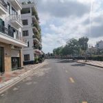 Ảnh 4 của BÁN LÔ ĐẤT MẶT PHỐ ĐI BỘ THẾ LỮ VUÔNG ĐÉT KHÔNG LỖI