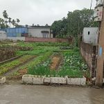 Ảnh 4 của CHÍNH CHỦ BÁN CẮT LỖ LÔ ĐẤT TẠI CÂU TRUNG, QUANG HƯNG, AN LÃO