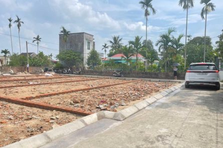 MỞ BÁN LÔ ĐẤT TẠI TÂN NAM, MỸ ĐỨC, AN LÃO