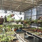 Ảnh 4 của BÁN NHÀ 2,5 TẦNG ĐỘC LẬP TẠI ĐÀO YÊU - ĐỒNG THÁI