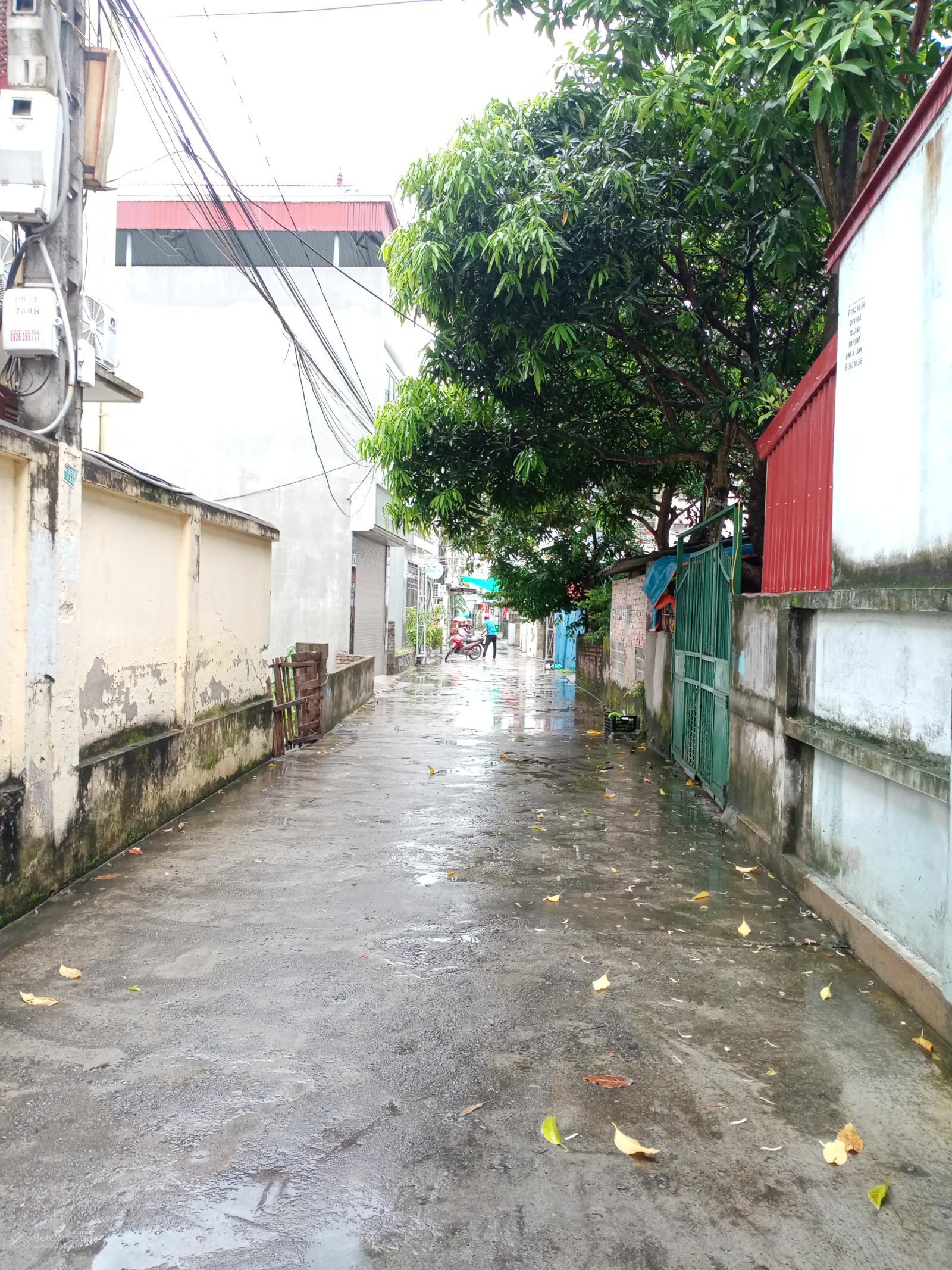 BÁN ĐẤT KHU VỰC ĐƯỜNG MỸ THỊNH, ĐỒNG HOÀ, KIẾN AN, HẢI PHÒNG