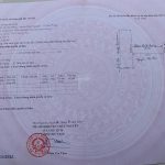 Ảnh 4 của 125M2 LÔ ĐẤT ĐẦY TIỀM NĂNG TẠI LÂM ĐỘNG