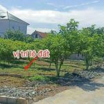 Ảnh 1 của BÁN LÔ ĐẤT GIÁ TỐT NHẤT TẠI THỦY NGUYÊN