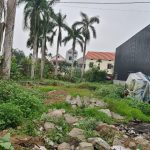 Ảnh 5 của BÁN 570M2 ĐẤT Ở LÂU DÀI NGANG 18M MẶT ĐƯỜNG WORLD BANK , AN DƯƠNG