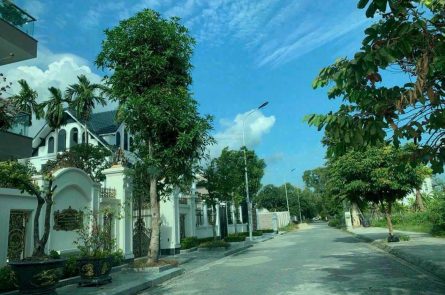 BÁN LÔ ĐẤT 300M2 KHU BIỆT THỰ SAO ĐỎ NGAY CẠNH KHÁCH SẠN PEARL RIVER , DƯƠNG KINH, HẢI PHÒNG