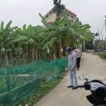 Ảnh 1 của BÁN LÔ ĐẤT VUÔNG VẮN TẠI XÃ HOA ĐỘNG
