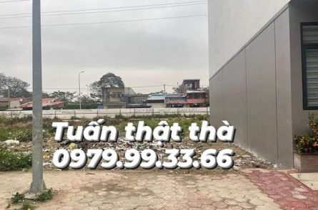 CHUYỂN NHƯỢNG LÔ TĐC CÂY ĐA 13 GỐC
