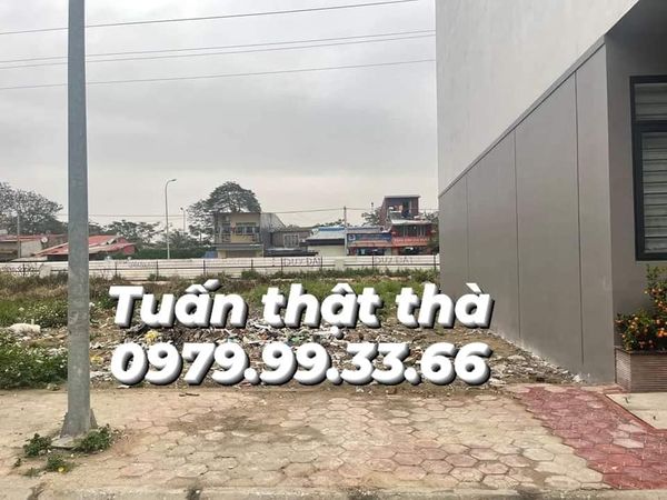 CHUYỂN NHƯỢNG LÔ TĐC CÂY ĐA 13 GỐC
