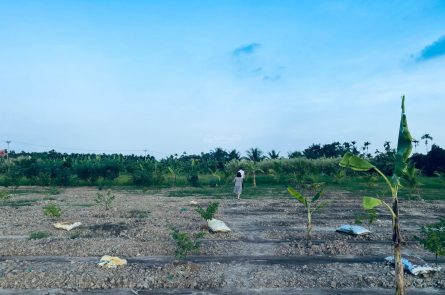 Bán mảnh đất 03 giá rẻ tại xã Hợp Thành, Thủy Nguyên, Hải Phòng