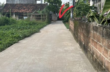 BÁN ĐẤT Ở HOA ĐỘNG, THỦY NGUYÊN, HẢI PHÒNG
