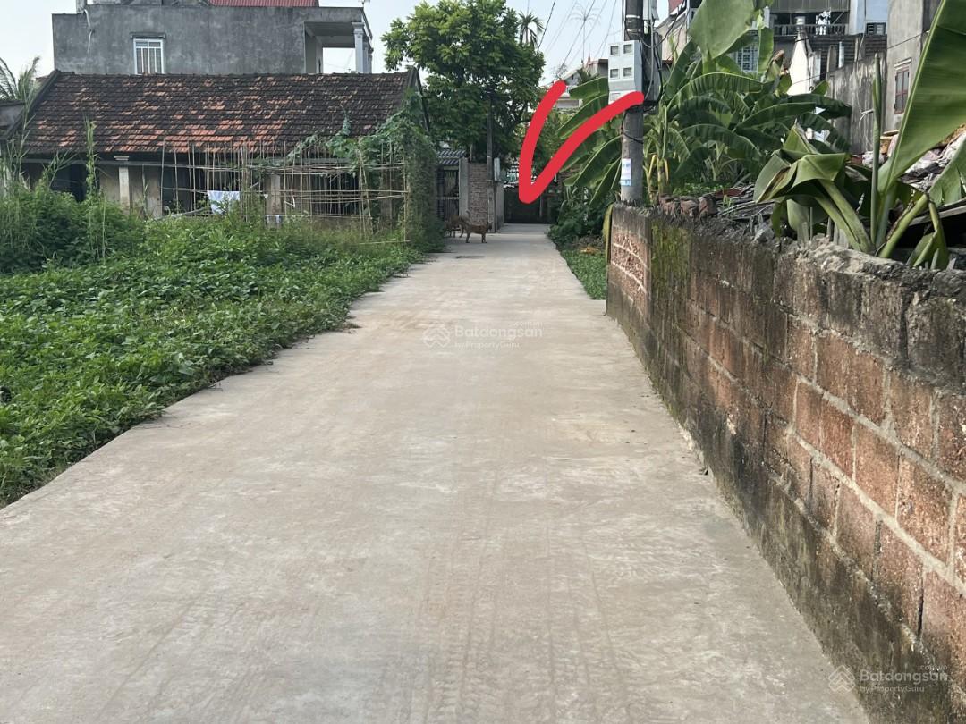 BÁN ĐẤT Ở HOA ĐỘNG, THỦY NGUYÊN, HẢI PHÒNG