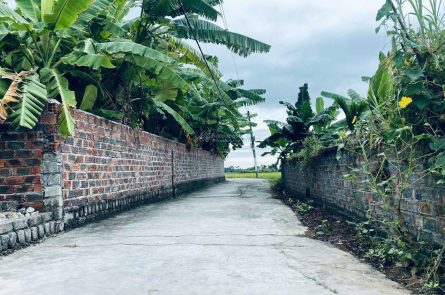 SIẾU CẮT LỖ MẢNH ĐẤT ĐẸP TẠI XÃ KÊNH GIANG, THỦY NGUYÊN