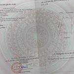 Ảnh 2 của Chính chủ Bán dãy trọ 6 phòng tại thôn Phương Chử Bắc, xã Trường Thành (An Lão)