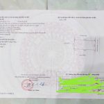 Ảnh 2 của BÁN NHANH LÔ ĐẤT THỔ TẠI TÂN DƯƠNG