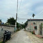 Ảnh 1 của LÔ ĐẤT GẦN NGAY DỰ ÁN HOÀNG HUY TẠI HOA ĐỘNG, THỦY NGUYÊN