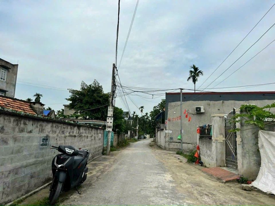 LÔ ĐẤT GẦN NGAY DỰ ÁN HOÀNG HUY TẠI HOA ĐỘNG, THỦY NGUYÊN