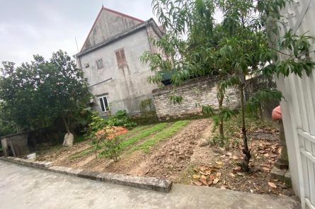BÁN ĐẤT TẠI TẠ NGOẠI - AN HÒA - VĨNH BẢO