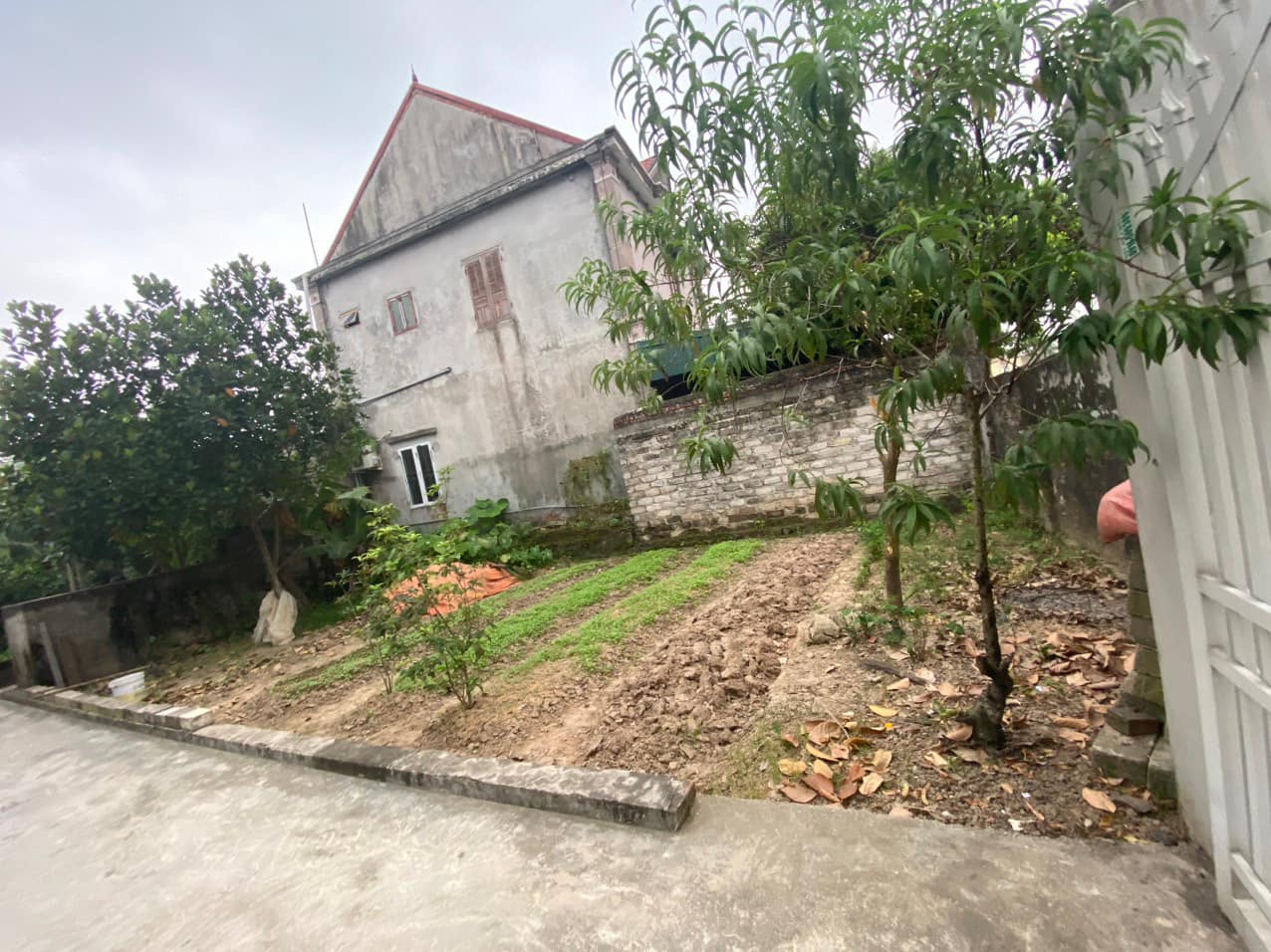 BÁN ĐẤT TẠI TẠ NGOẠI - AN HÒA - VĨNH BẢO