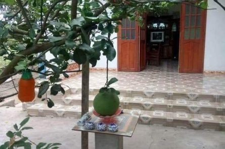 BÁN ĐẤT TẠI THANH KHÊ THANH - THANH LƯƠNG - VĨNH BẢO