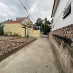 Ảnh 4 của BÁN ĐẤT SIÊU ĐẸP Ở XÃ TÂN DƯƠNG, THỦY NGUYÊN