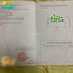Ảnh 1 của BÁN NHANH 200M LÔ ĐẤT VÀNG, DO NHA, TÂN TIẾN, AN DƯƠNG, GIÁ SẬP SÀN