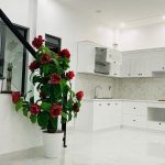 Ảnh 2 của 1 CĂN DUY NHẤT NGAY SAU NHÀ MẶT ĐƯỜNG KHU PHƯƠNG LƯU - VẠN MỸ