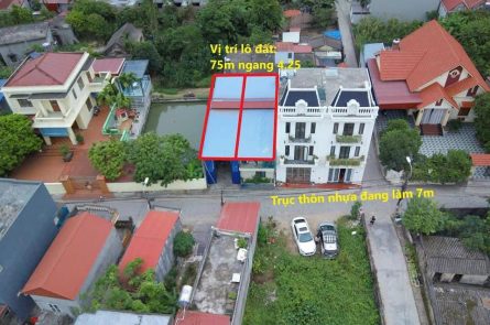 CẦN BÁN GẤP ĐẤT MẶT TRỤC THÔN QUỲNH HOÀNG, XÃ NAM SƠN, AN DƯƠNG