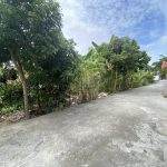 Ảnh 3 của Bán 4 lô đất liền kề Tiềm năng cực tốt, phù hợp đầu tư.