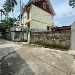 Ảnh 1 của ĐẤT TRUNG TÂM THỊ TRẤN AN DƯƠNG