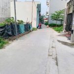 Ảnh 1 của BẠCH MAI ĐỒNG THÁI, AN DƯƠNG GẦN UBND XÃ Ô TÔ ĐỖ CỬA