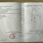 Ảnh 2 của BÁN 2 LÔ ĐẤT LIỀN KỀ - TIÊN LÃNG - HP