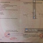 Ảnh 4 của BÁN ĐẤT MẶT ĐƯỜNG PHAN ĐĂNG LƯU, HỒNG THÁI, AN DƯƠNG