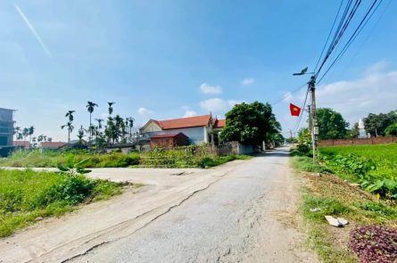 Bán lô góc đất Hoa Động, Thủy Nguyên