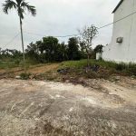 Ảnh 2 của CHÍNH CHỦ em bán đất Minh Tân - Kiến Thuỵ