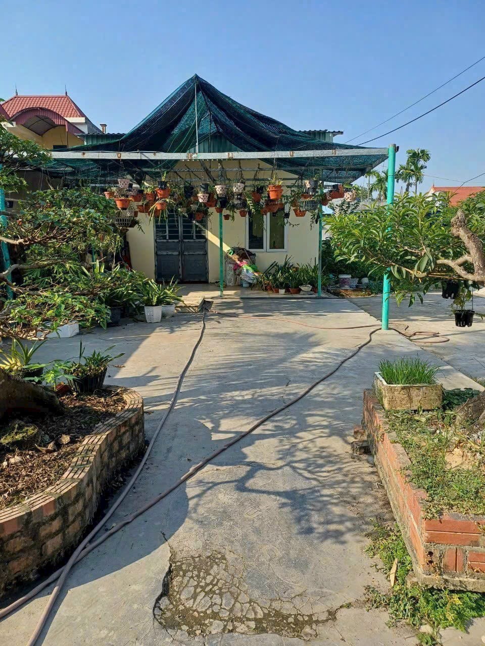 Mua đất tặng nhà Hoàng Động, Thủy Nguyên.