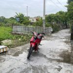 Ảnh 2 của Hàng hiếm mở bán cho các nhà đầu tư lô đất tại Áng Sơn, An Lão.