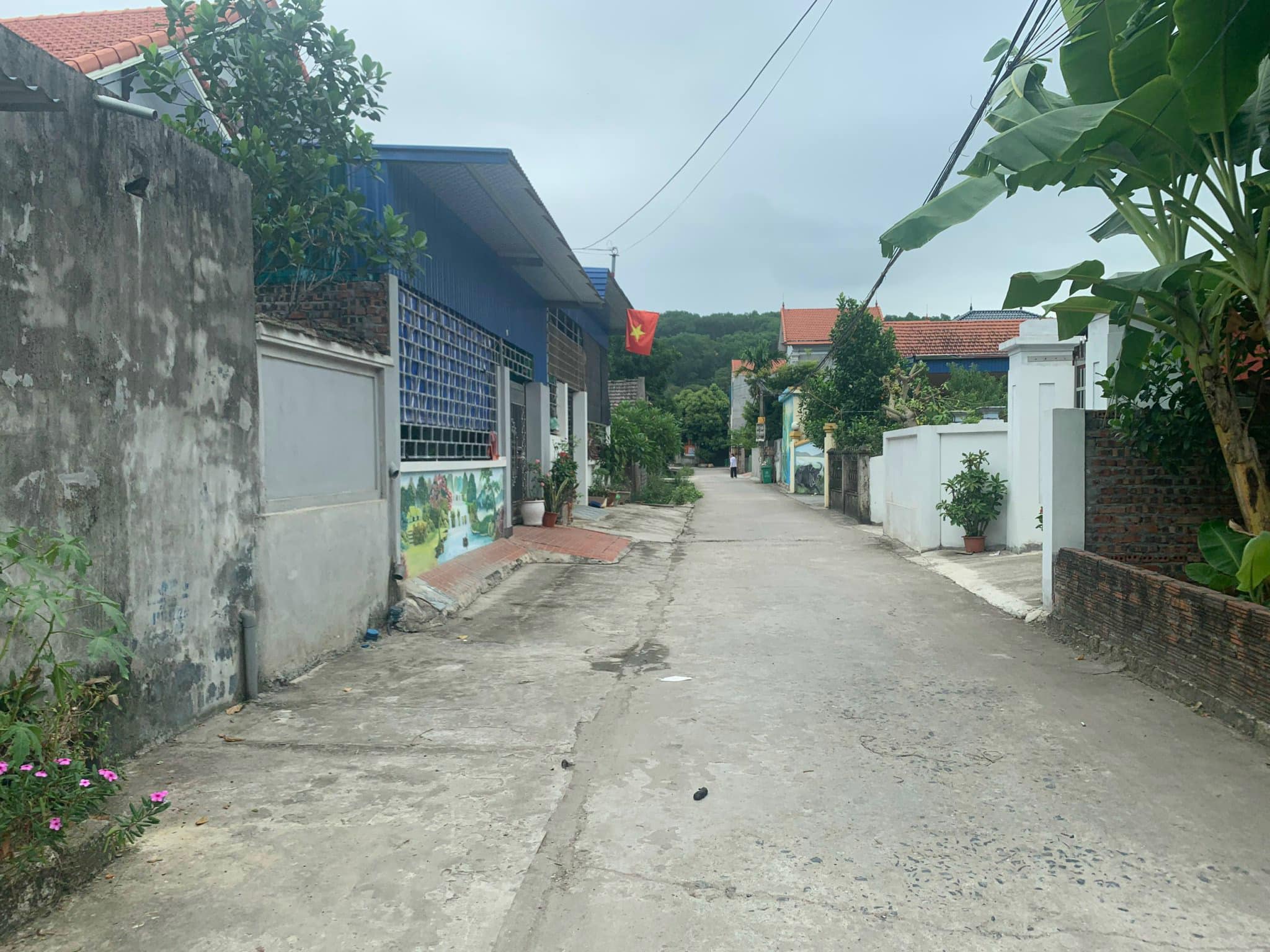 F0 Chính Mỹ ngõ ô tô quay đầu với giá mềm như bún.